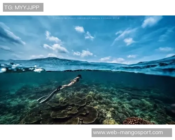 北京极限运动队的比赛经验革新与热议极限运动的未来发展探讨