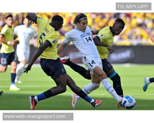 巴西与秘鲁激战决赛直播精彩瞬间全程回顾与分析